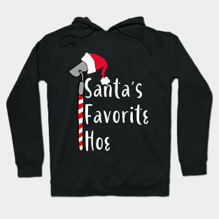 Santa's Favorite Hoe Hoodie